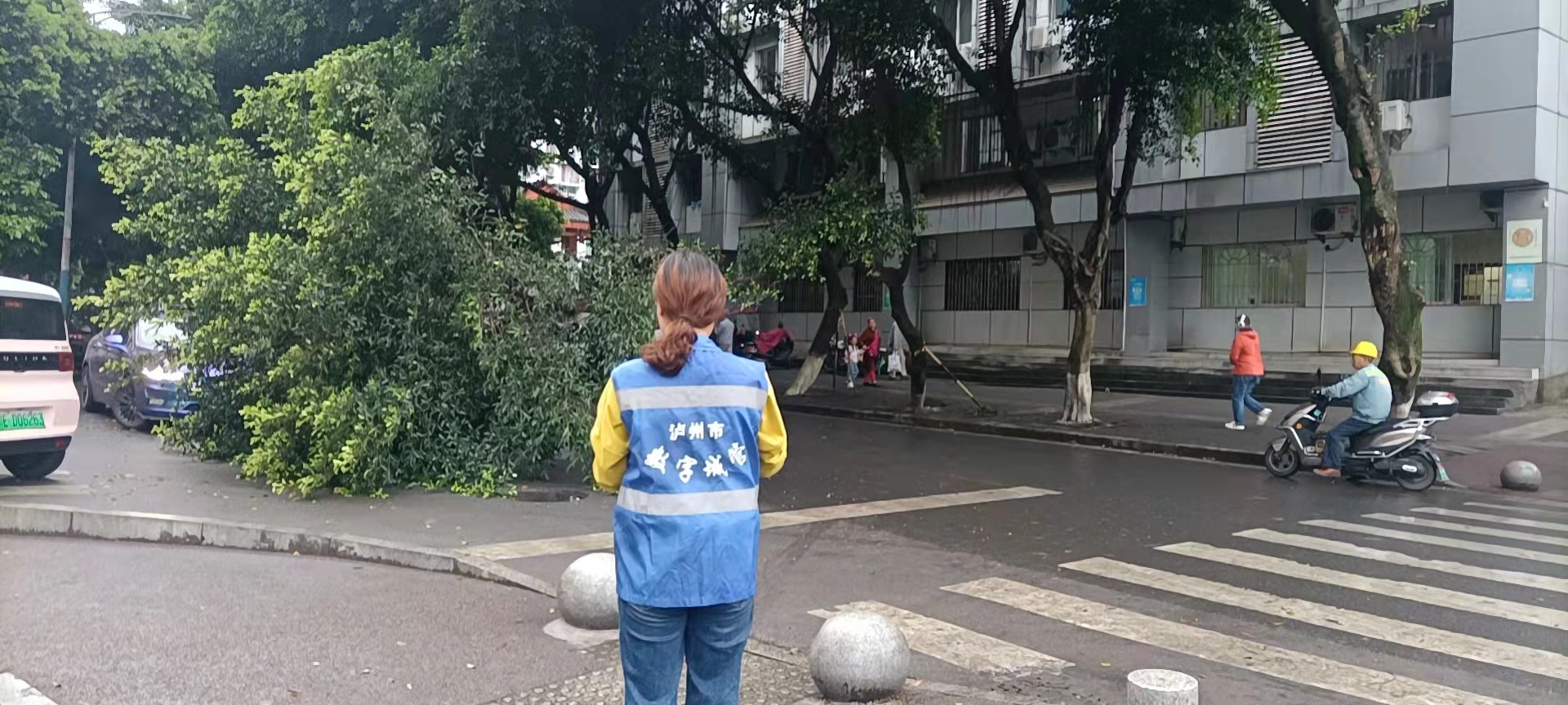 堅持雨后精準采集，共護市民出行安全