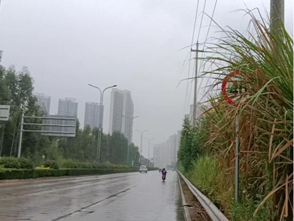 全力以赴戰寒潮，姜汁湯圓暖人心